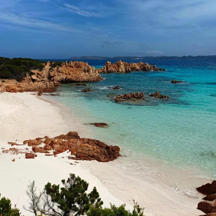 Appartement L'Isola Nell'Isola - R3442 à La Maddalena  Extérieur photo